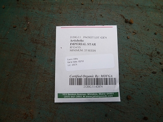 アーチチョーク