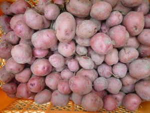 アンデスレッド